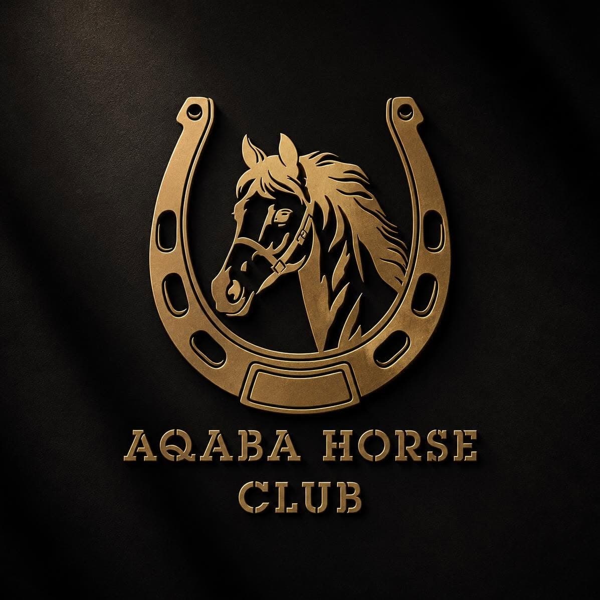 نادي العقبة للفروسية — العقبة logo