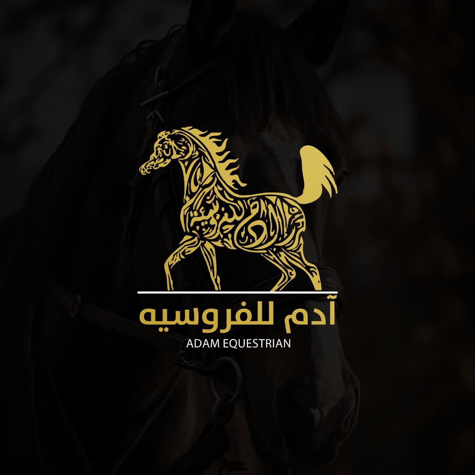 اسطبلات آدم للفروسية — المفرق logo