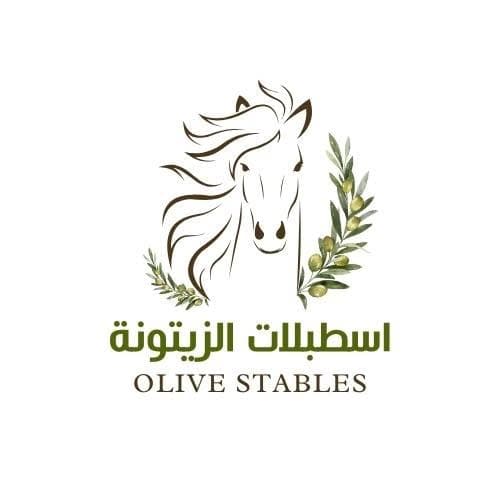 اسطبلات الزيتونة — عمان logo