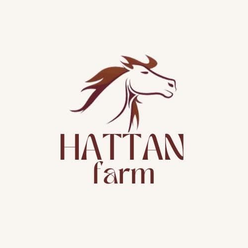 اسطبلات ومزرعة هتان— إربد logo