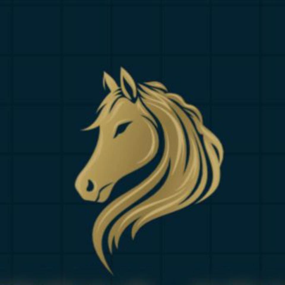 نادي الذياب للفروسية — عمان logo
