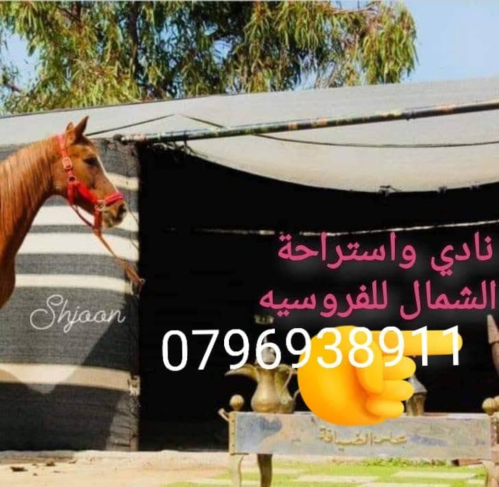 نادي الشمال للفروسية — إربد logo