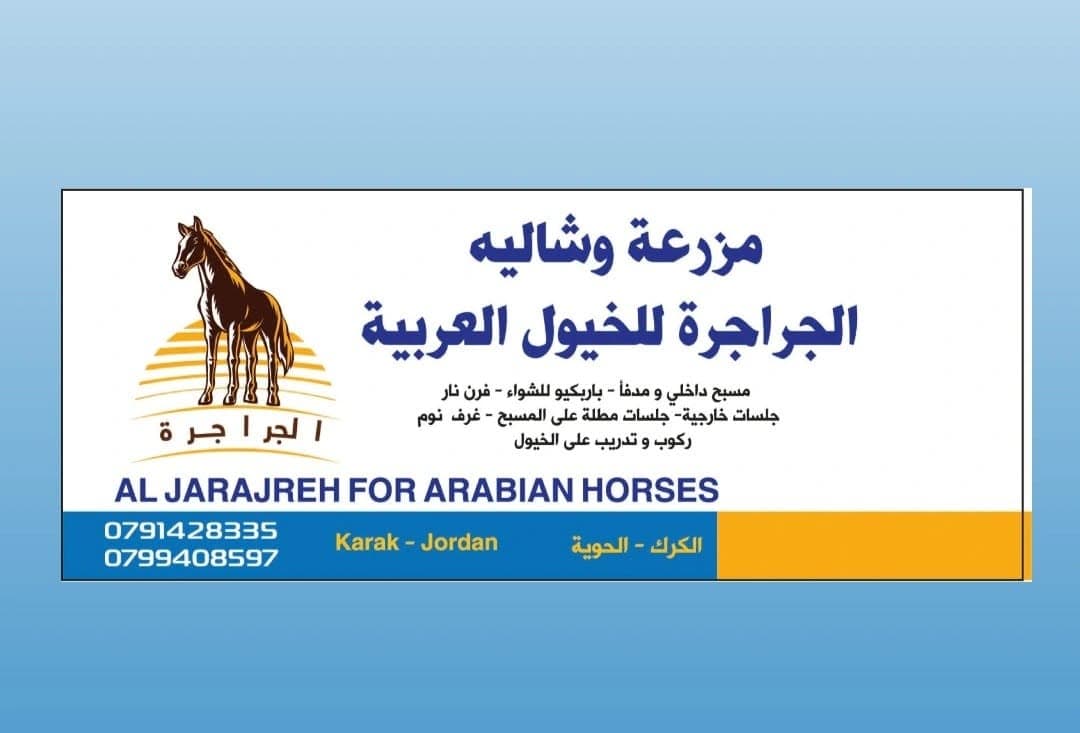 مزرعة الجراجرة للخيول العربية — الكرك