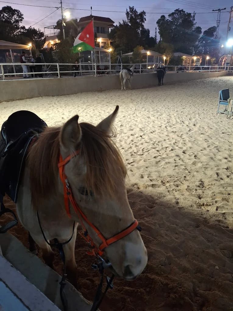 اسطبلات وكافيه رينجرز للفروسية — عمان
