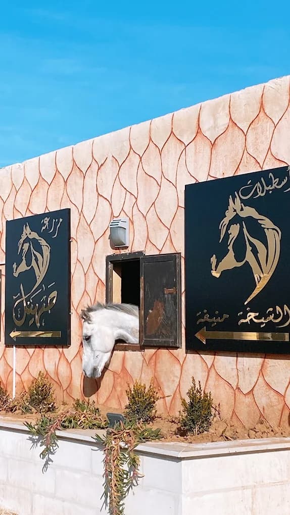 اسطبلات الشيخة منيفة —  عمان