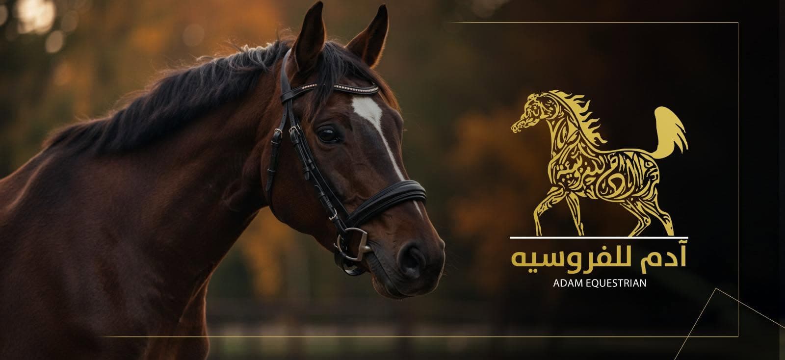 اسطبلات آدم للفروسية — المفرق