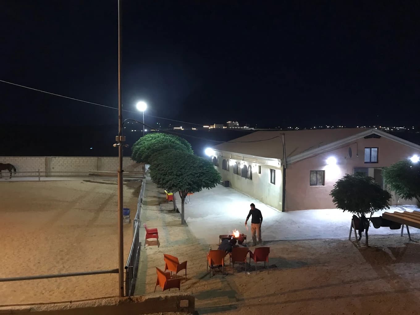 اسطبلات عمار حجازي للفروسية وركوب الخيل — عمان