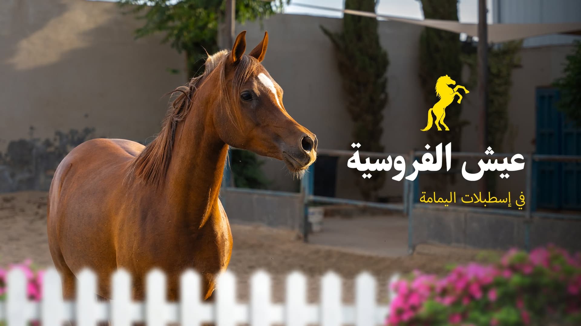 اسطبلات اليمامة — عمان