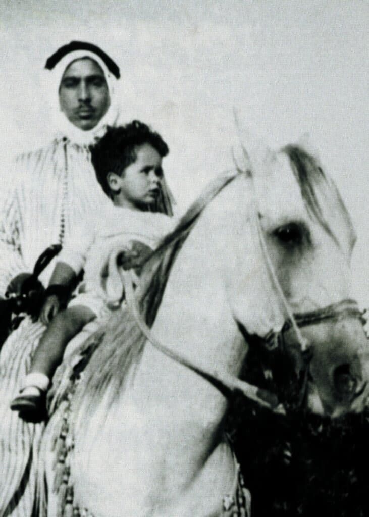 فرس أردنية أصيلة