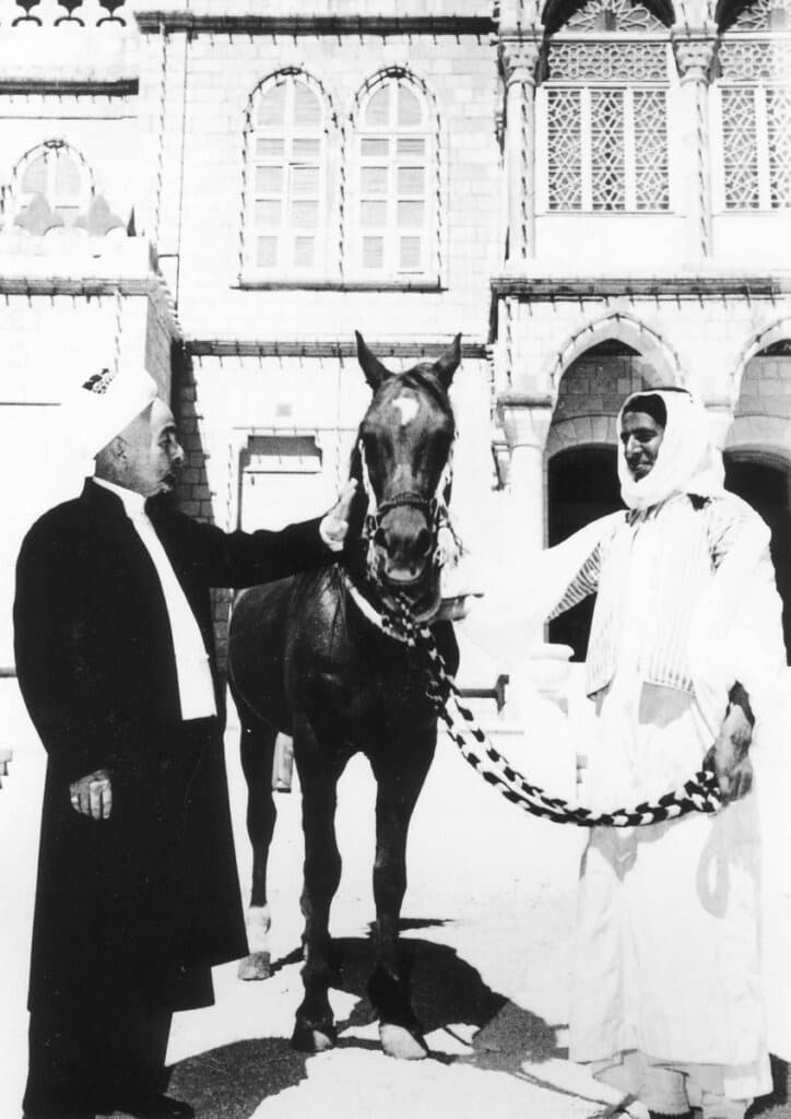 خيل أردنية في الإسطبلات الملكية