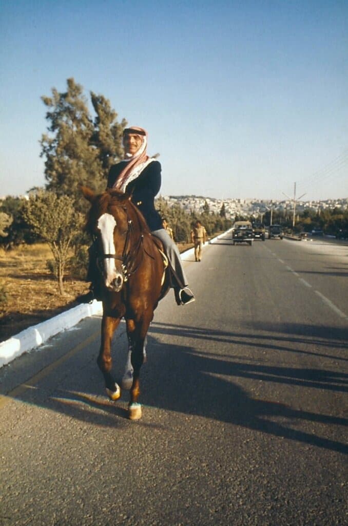 فرس أصيلة في الإسطبلات الملكية